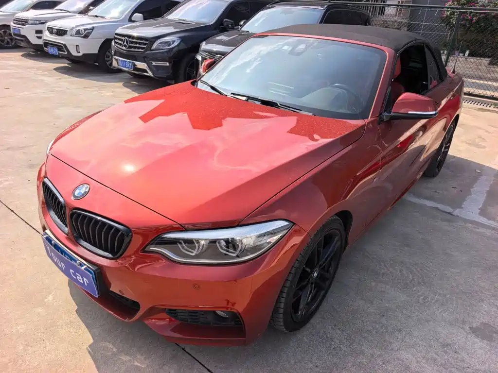 BMW 2 Series (Import)