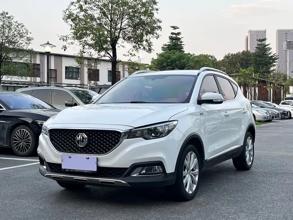 Mg ZS 2017