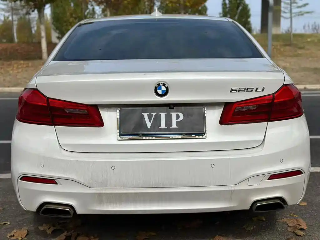 BMW 5 Series 5 2019 525Li M Sport