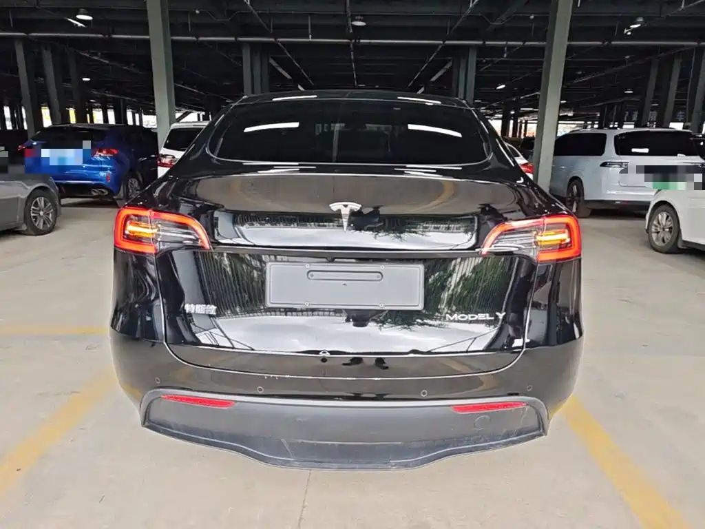 Tesla Model Y — миниатюра 6