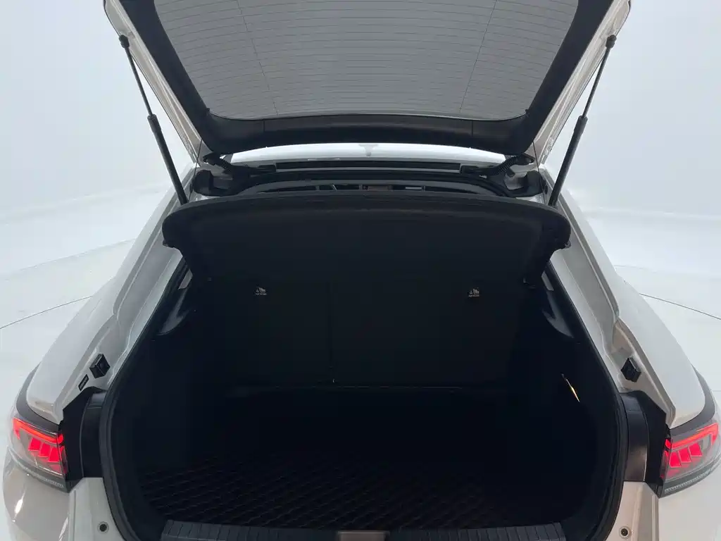 Volkswagen Lamando — миниатюра 15