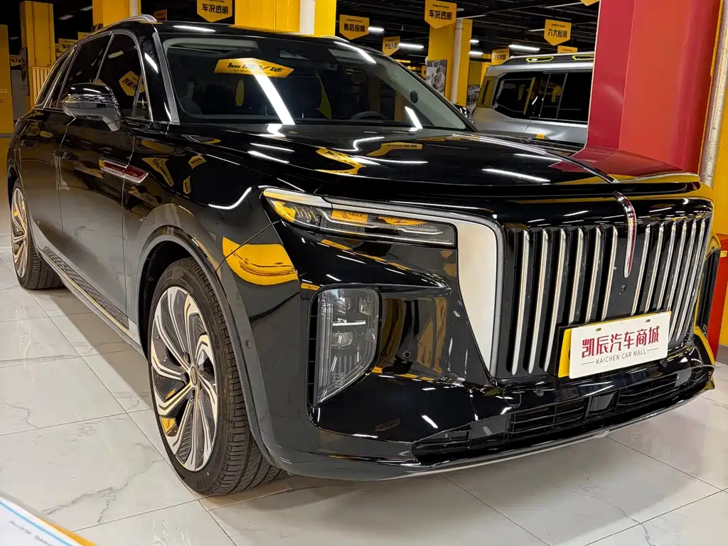 Hongqi Hongqi E-HS9 — миниатюра 3