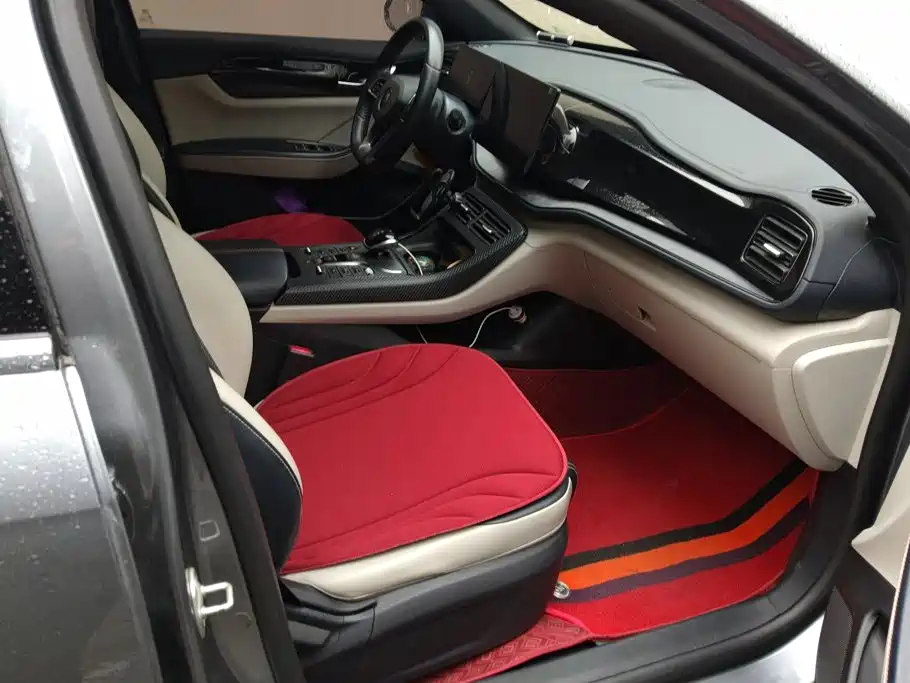 BYD Qin PLUS — миниатюра 7