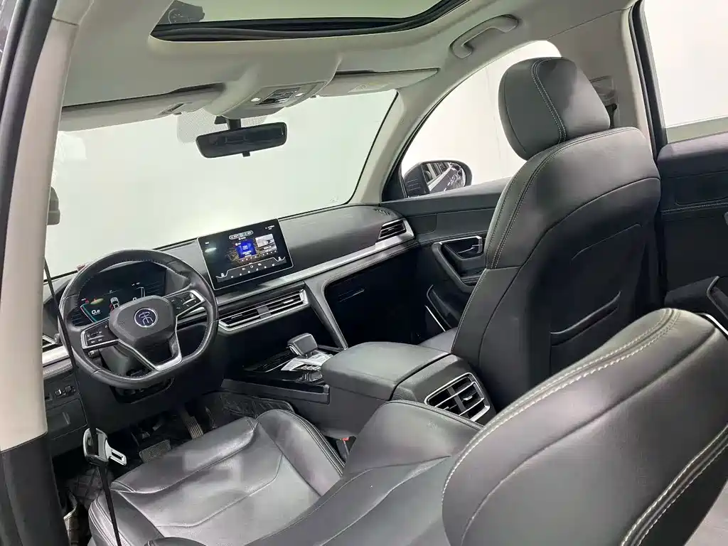 BYD Pro — миниатюра 6