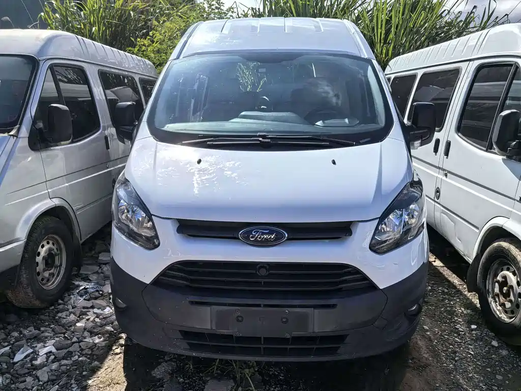 Ford Transit — миниатюра 2