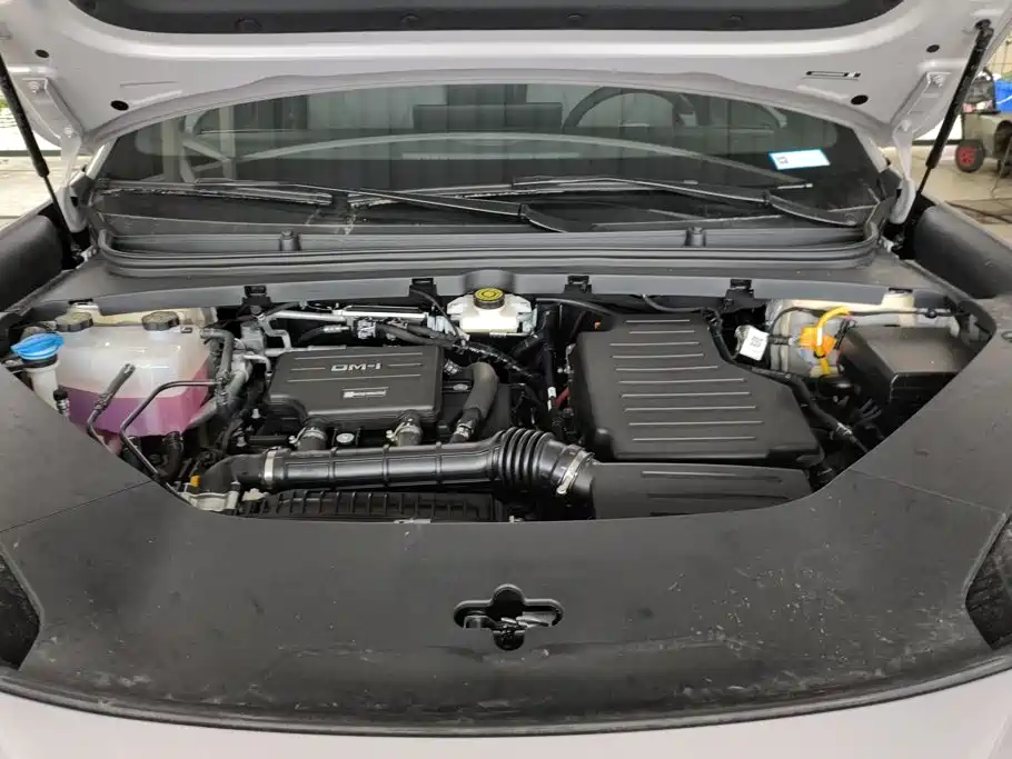 BYD Sealion 06 — миниатюра 10