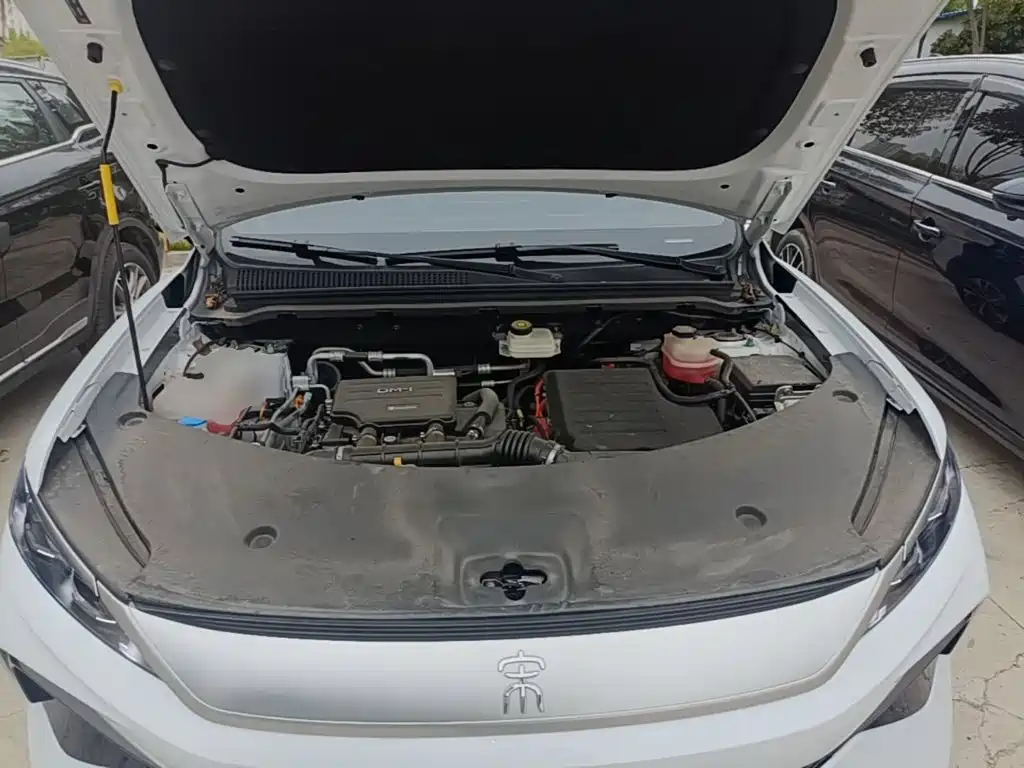 BYD Pro New Energy — миниатюра 20