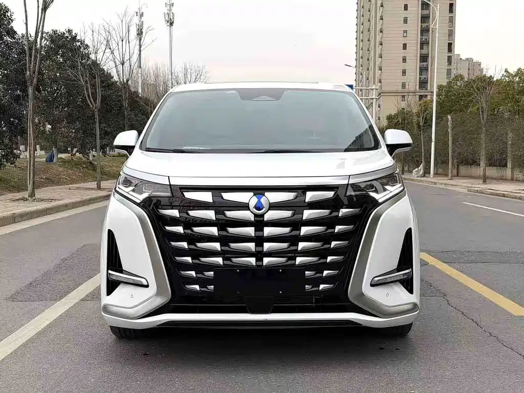 Denza Denza D9 — миниатюра 3