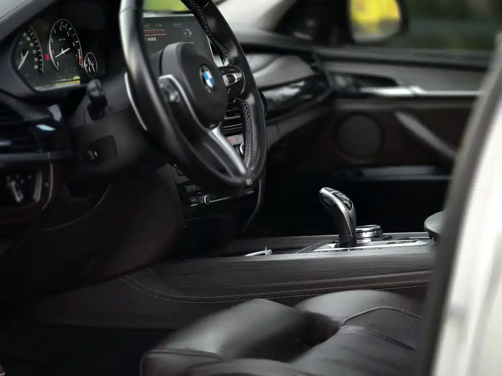 BMW X5 (Import) — миниатюра 23