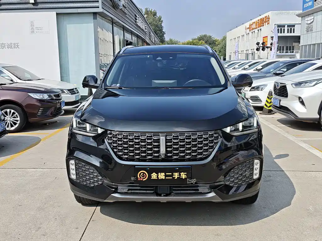 Wey Wey VV6 — миниатюра 6