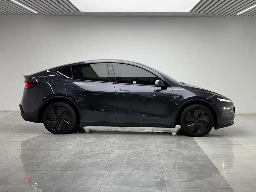Tesla Model Y — миниатюра 8