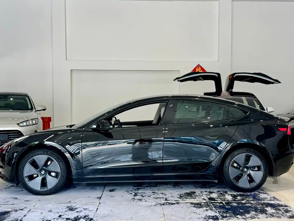 Tesla Model 3 — миниатюра 7
