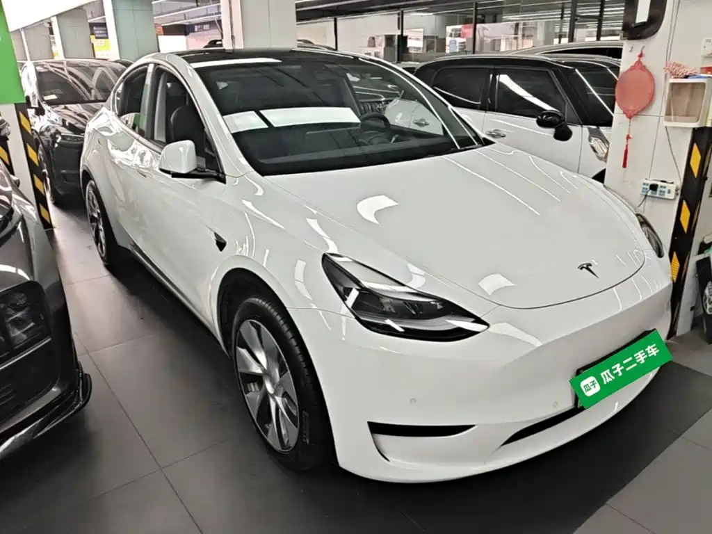 Tesla Model Y — миниатюра 4