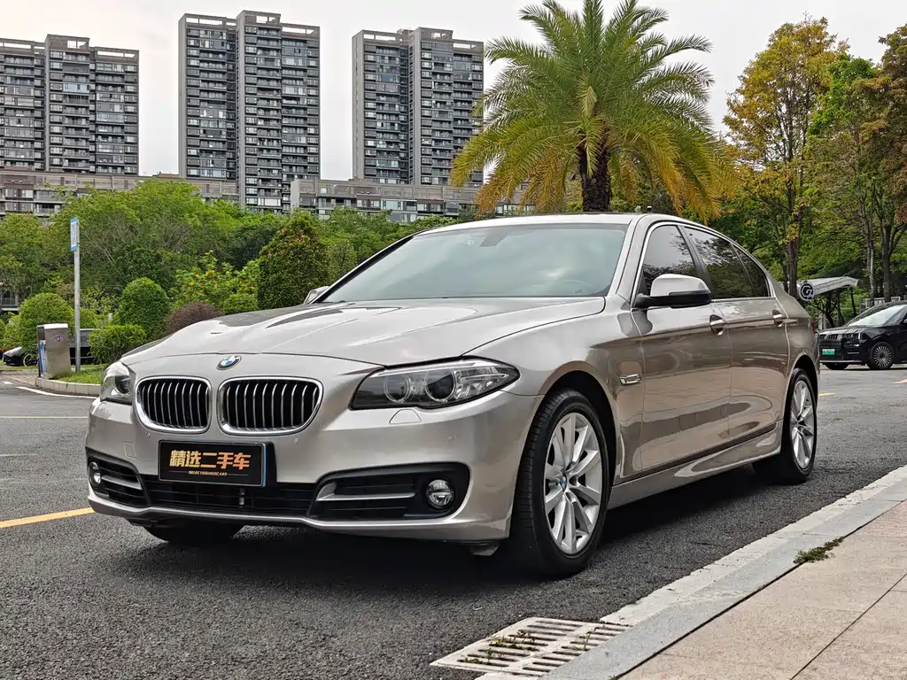 BMW 5 Series 2015
