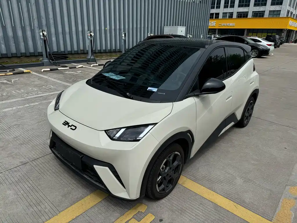 Byd Seagull 2024