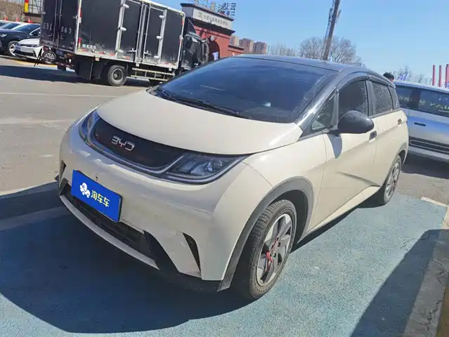 BYD DOLPHIN 2024