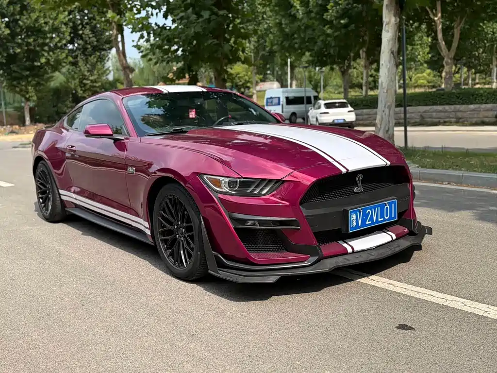 Ford Mustang — миниатюра 3