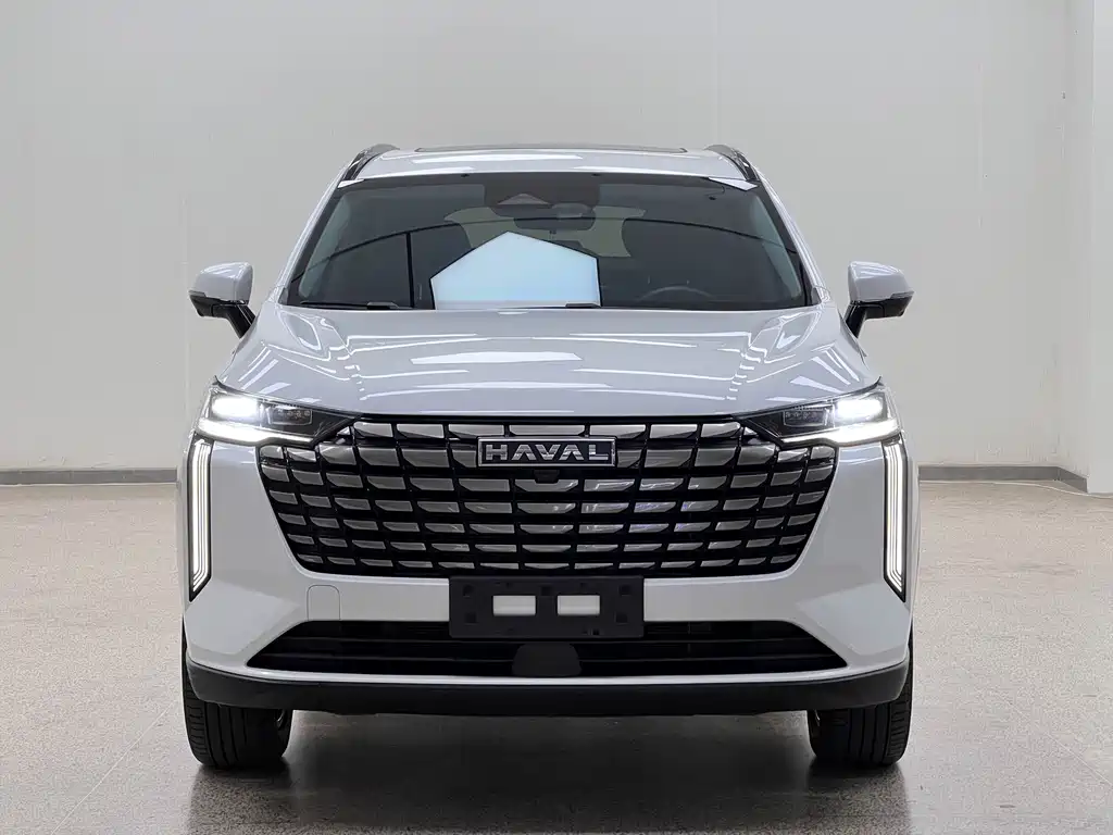Haval H6 1.5T 2WD Max, фото 2