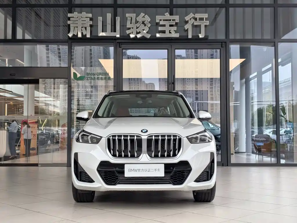 BMW X1 — миниатюра 2