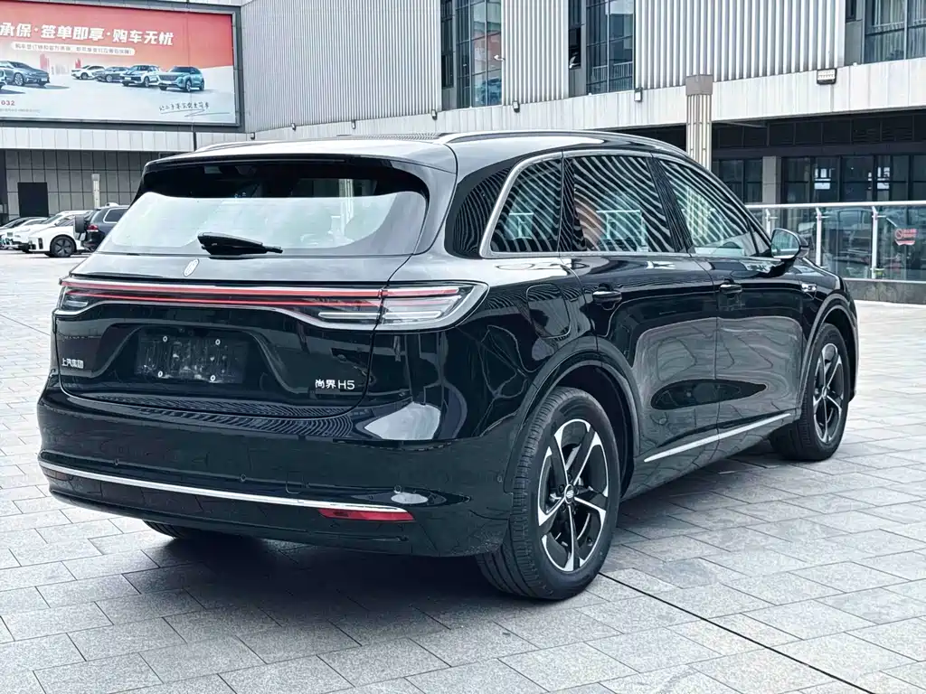 Shangjie Shangjie H5 — миниатюра 21