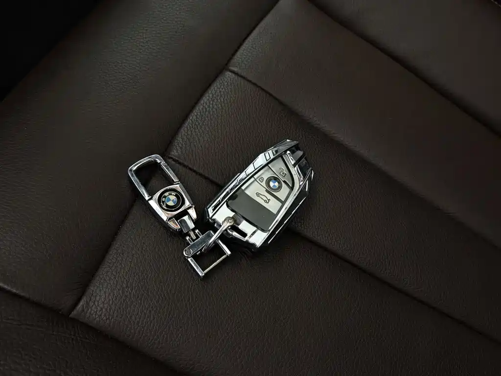 BMW X5 (Import) — миниатюра 13