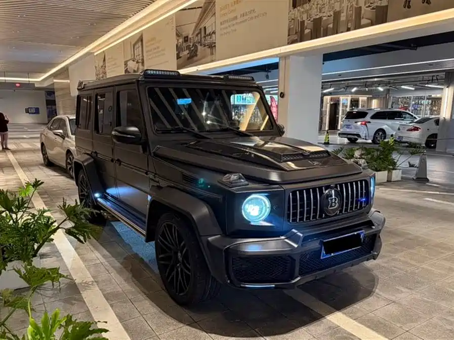 Mercedes-Benz G-Class G 2010 G 500