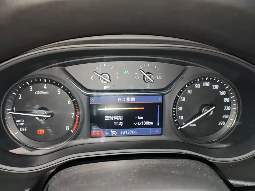 Buick Regal — миниатюра 12