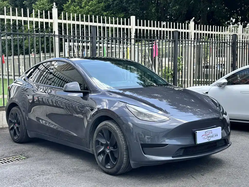 Tesla Model Y — миниатюра 2