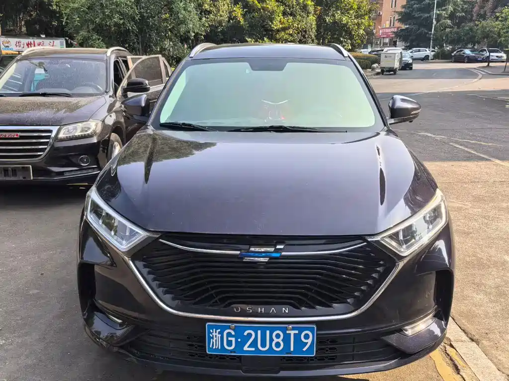 Oshan Oushang X7 — миниатюра 6