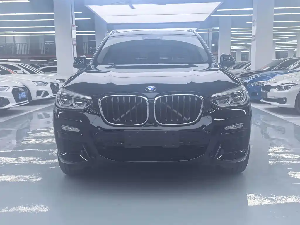 BMW X3 — миниатюра 2