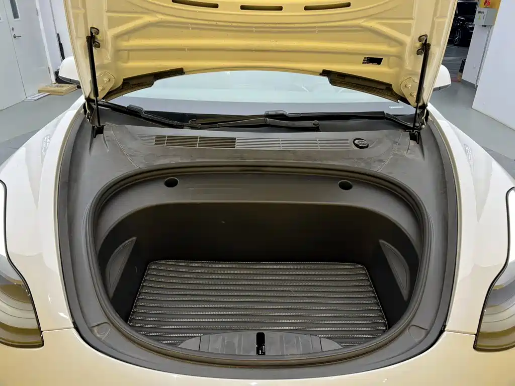 Tesla Model 3 — миниатюра 6