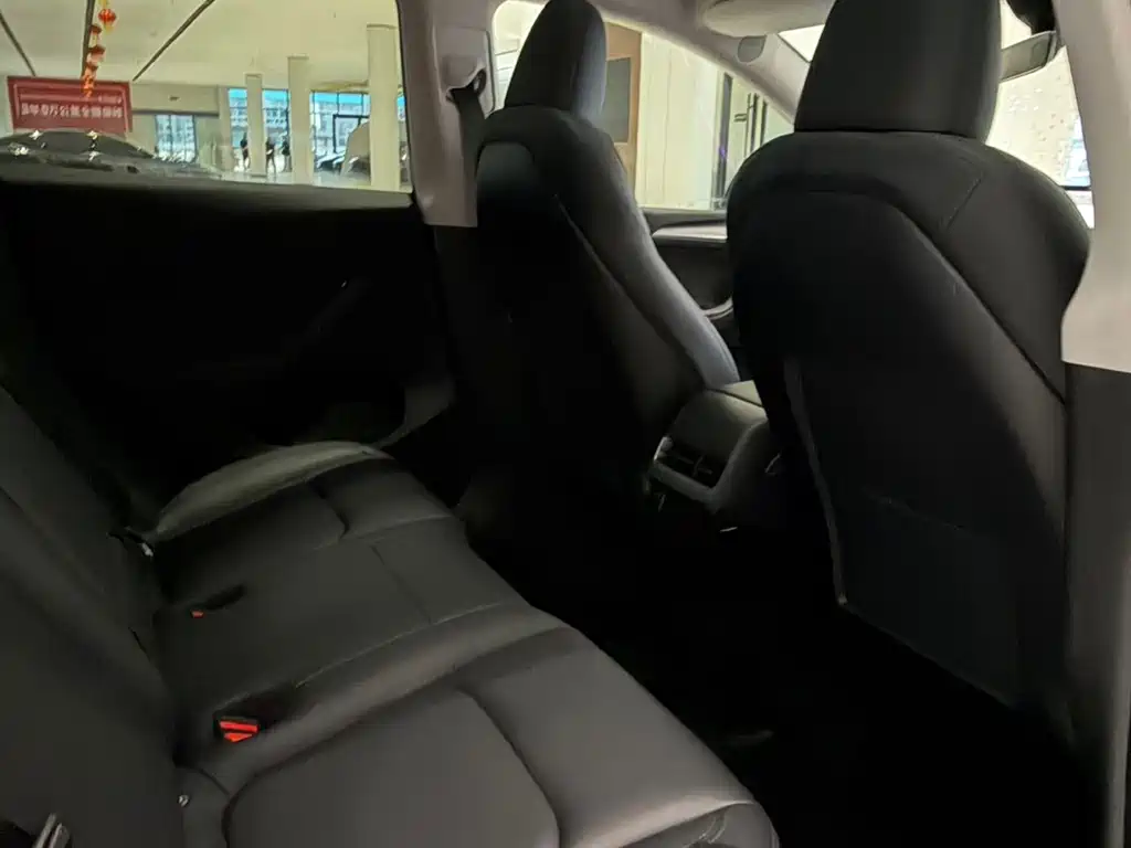 Tesla Model Y — миниатюра 5