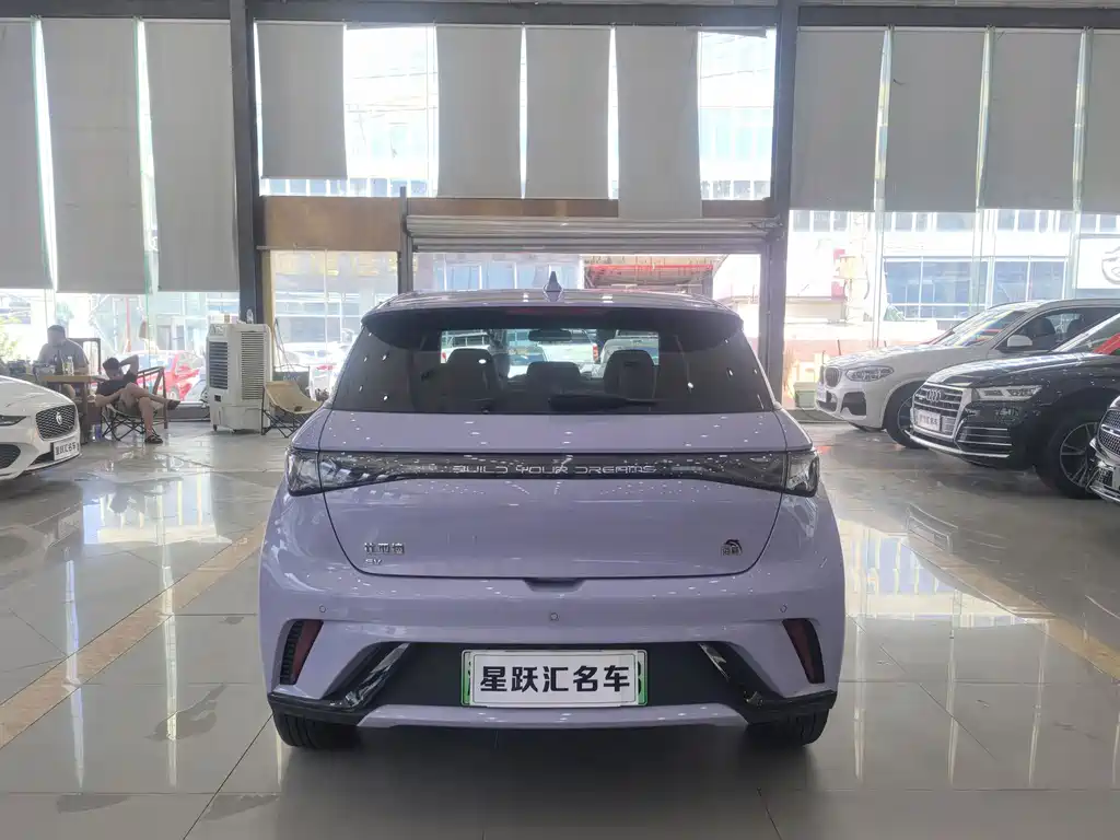 BYD Dolphin — миниатюра 22
