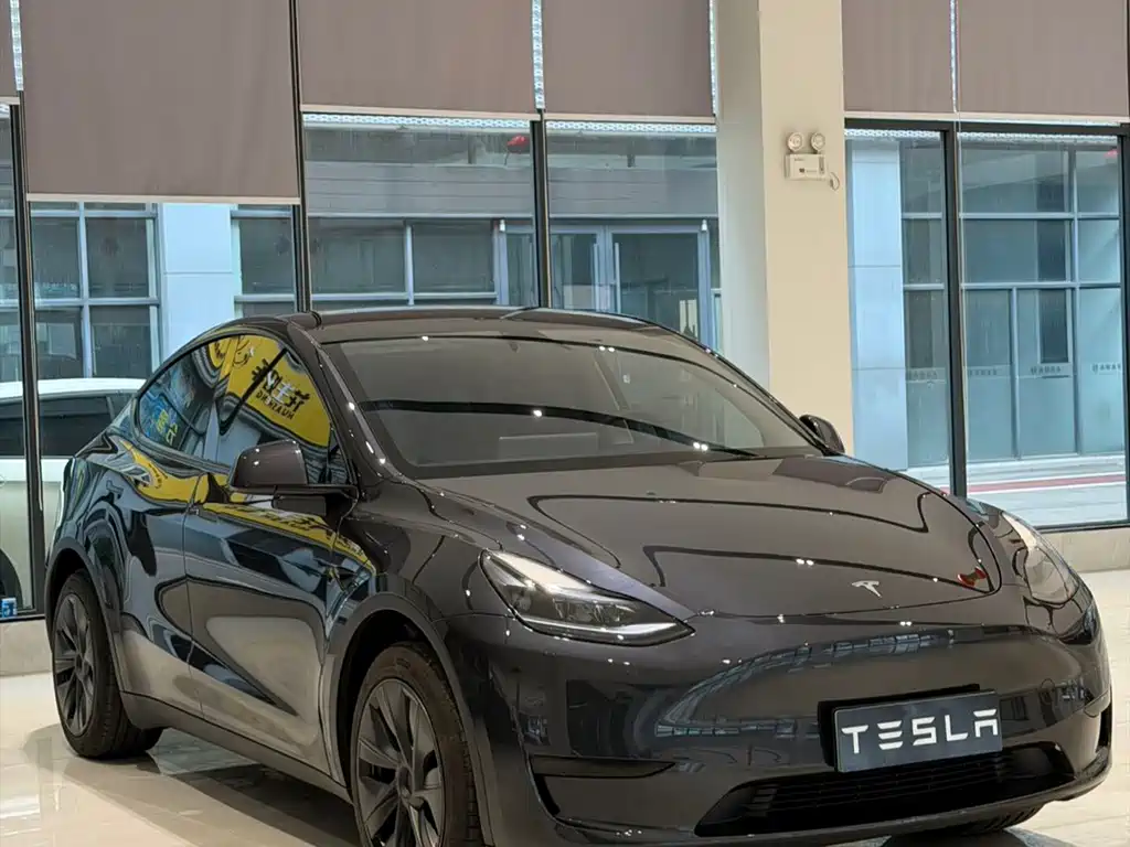 Tesla Model Y — миниатюра 3