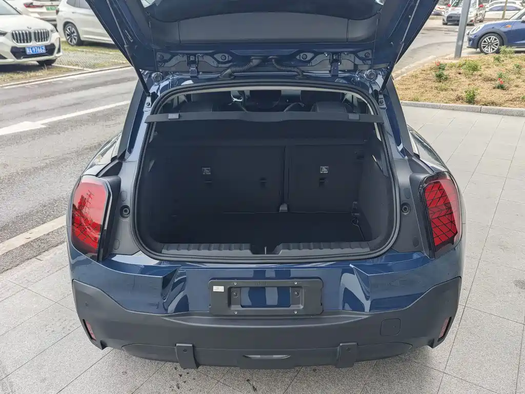 MINI MINI ACEMAN EV — миниатюра 7
