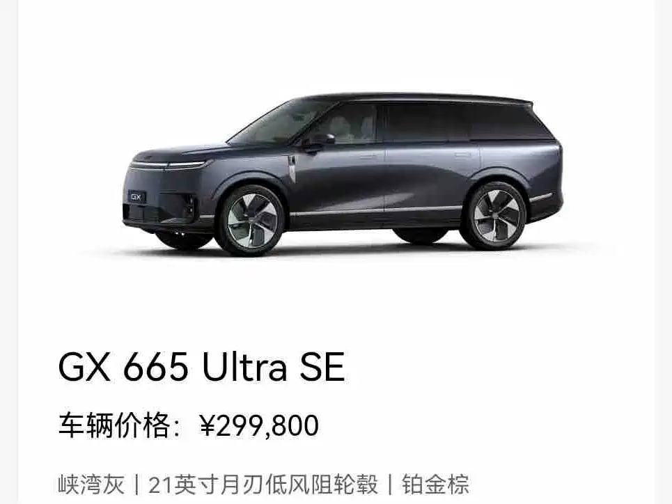 XPeng 小鹏GX — миниатюра 6