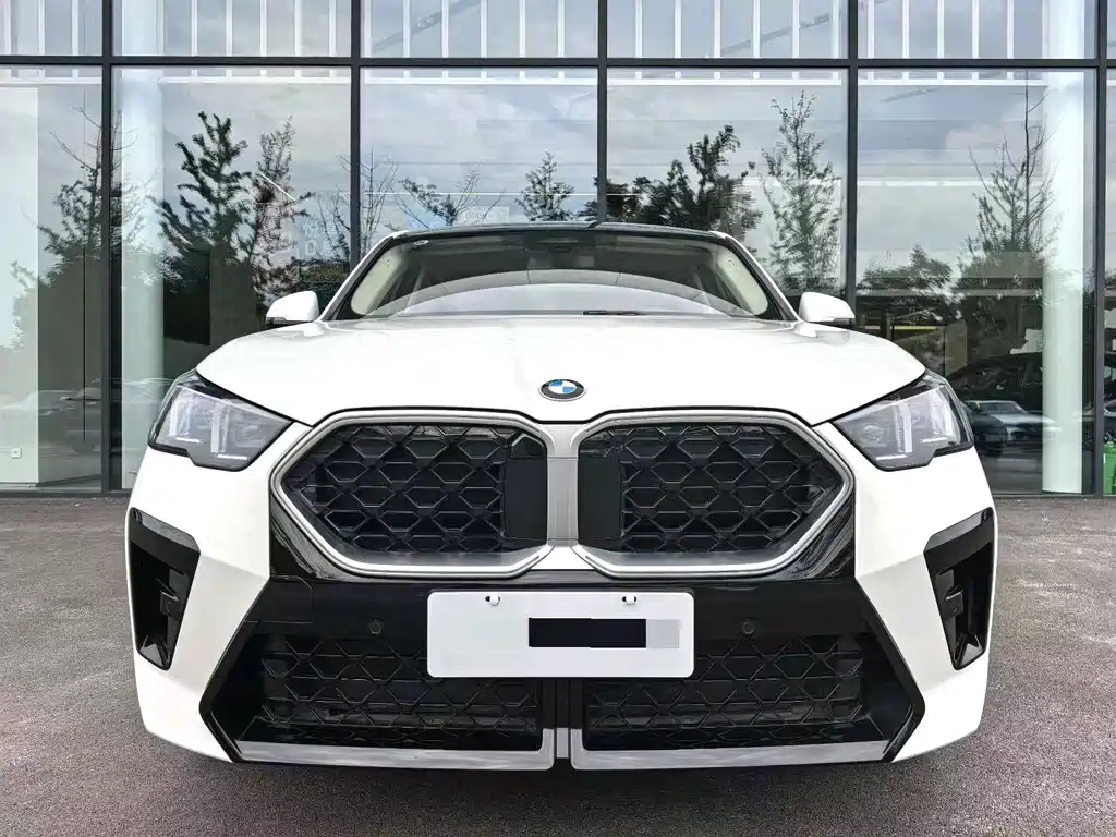 BMW X2 (Import) — миниатюра 2