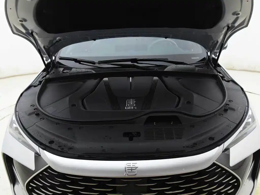 BYD Tang New Energy — миниатюра 14