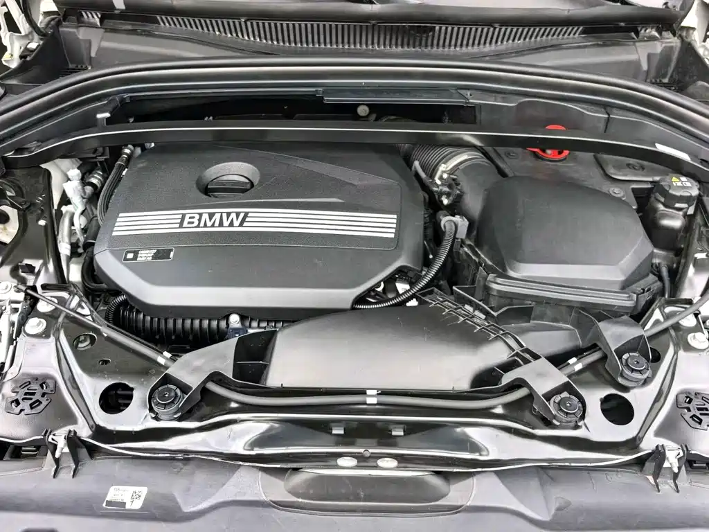 BMW X2 (Import) — миниатюра 8