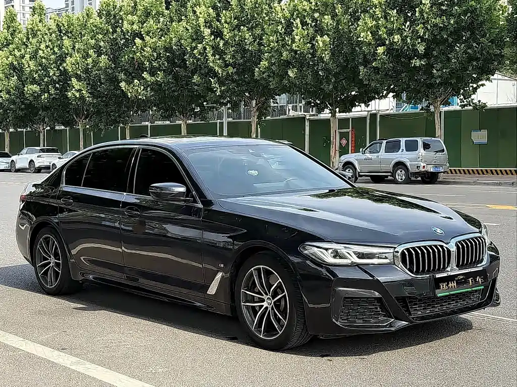 BMW 5 Series New Energy — миниатюра 3