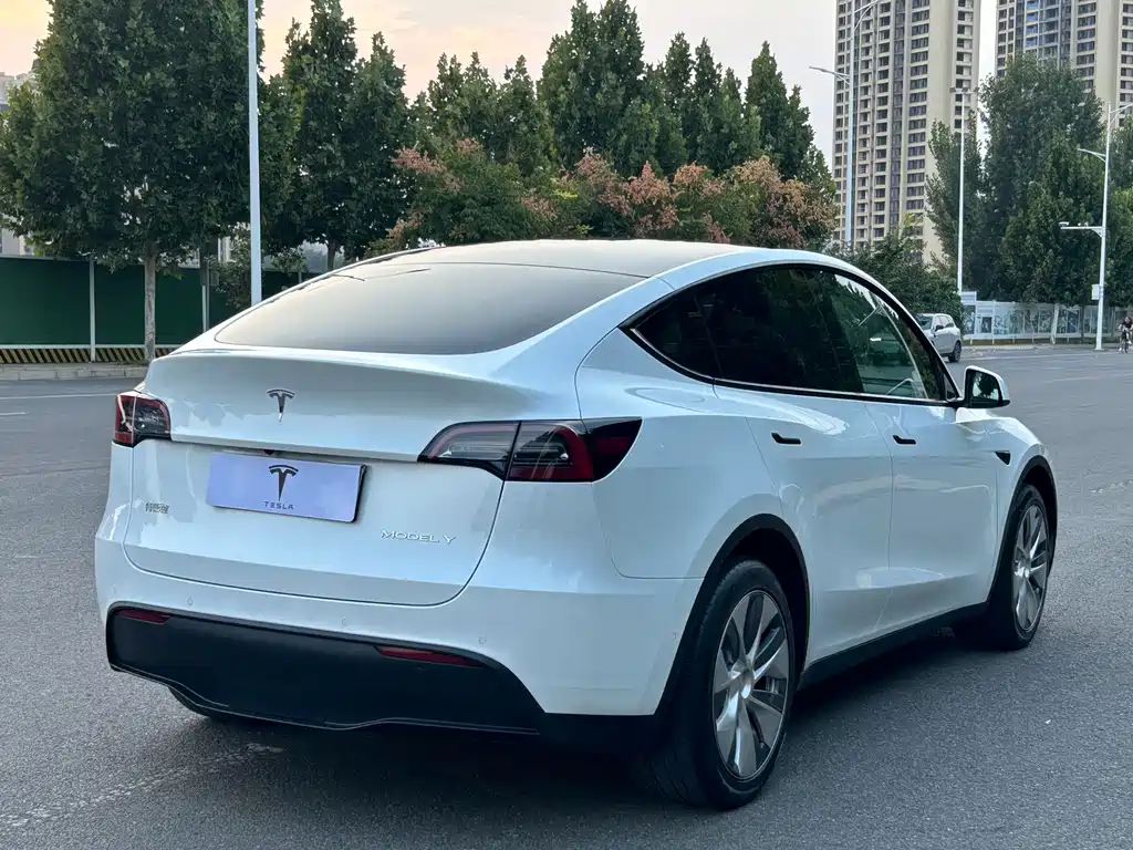 Tesla Model Y — миниатюра 13