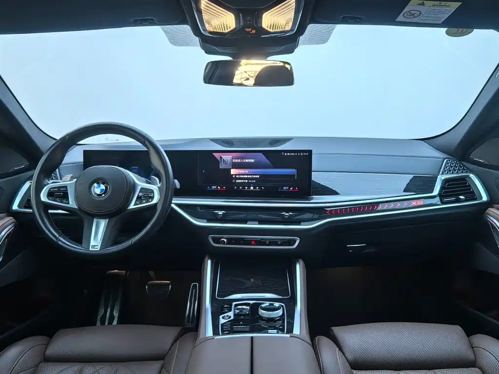BMW X6 — миниатюра 7