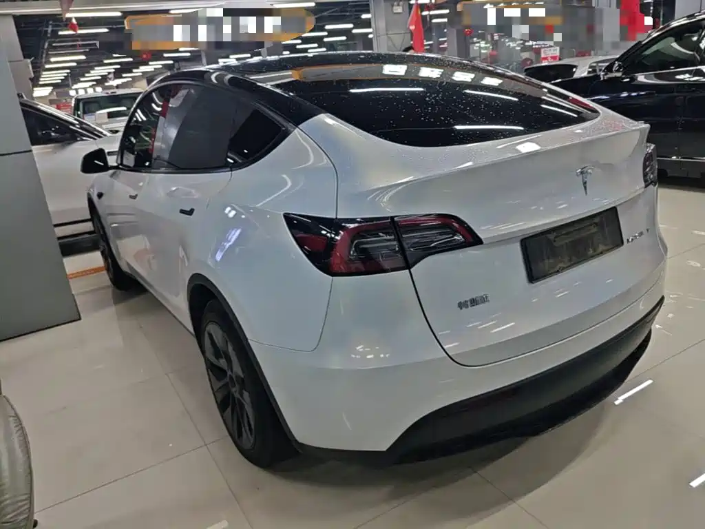 Tesla Model Y — миниатюра 5