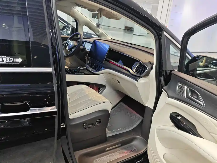 Denza Denza D9 — миниатюра 8