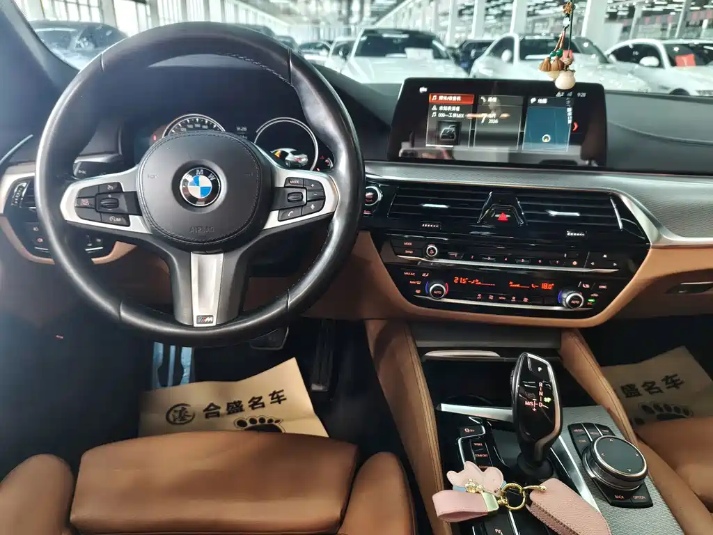 BMW 5 Series (Import) — миниатюра 12