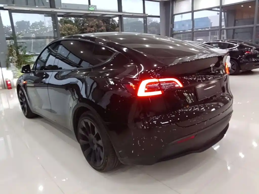 Tesla Model Y — миниатюра 5