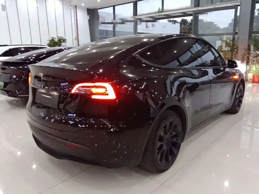 Tesla Model Y — миниатюра 7