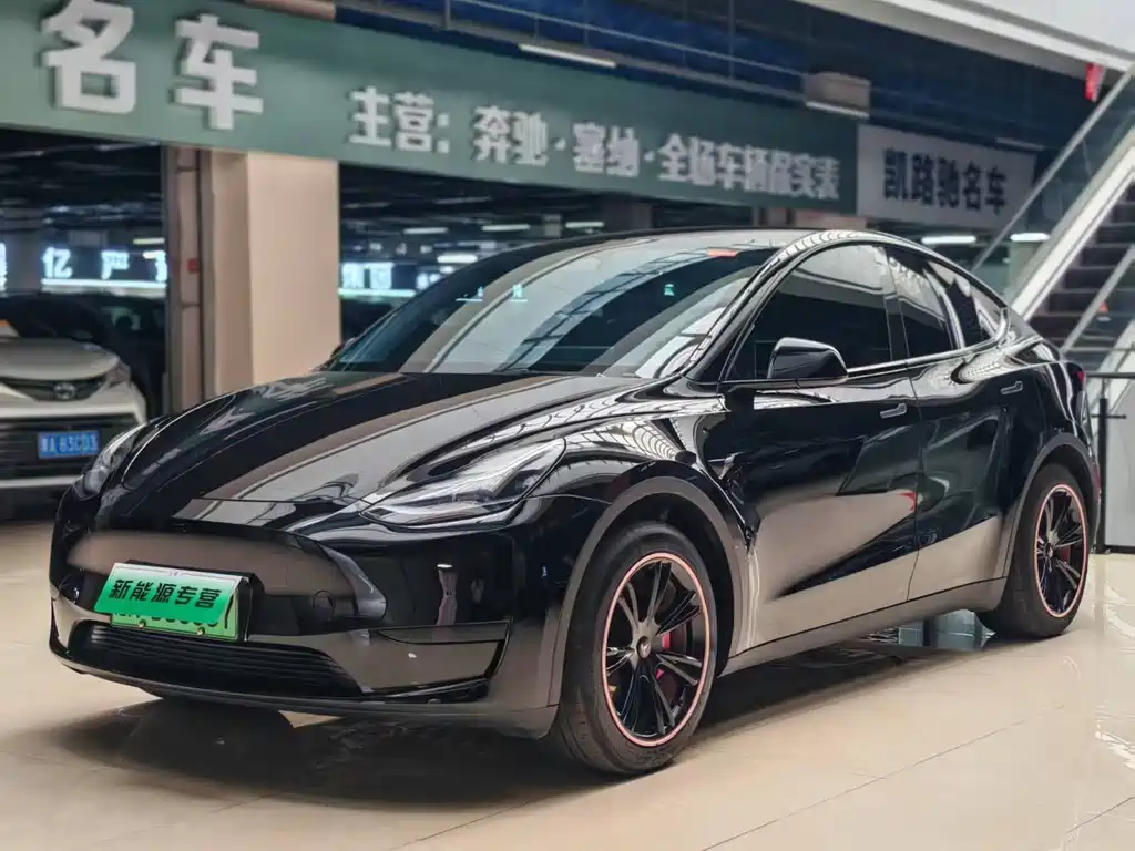 Tesla Model Y — миниатюра 3