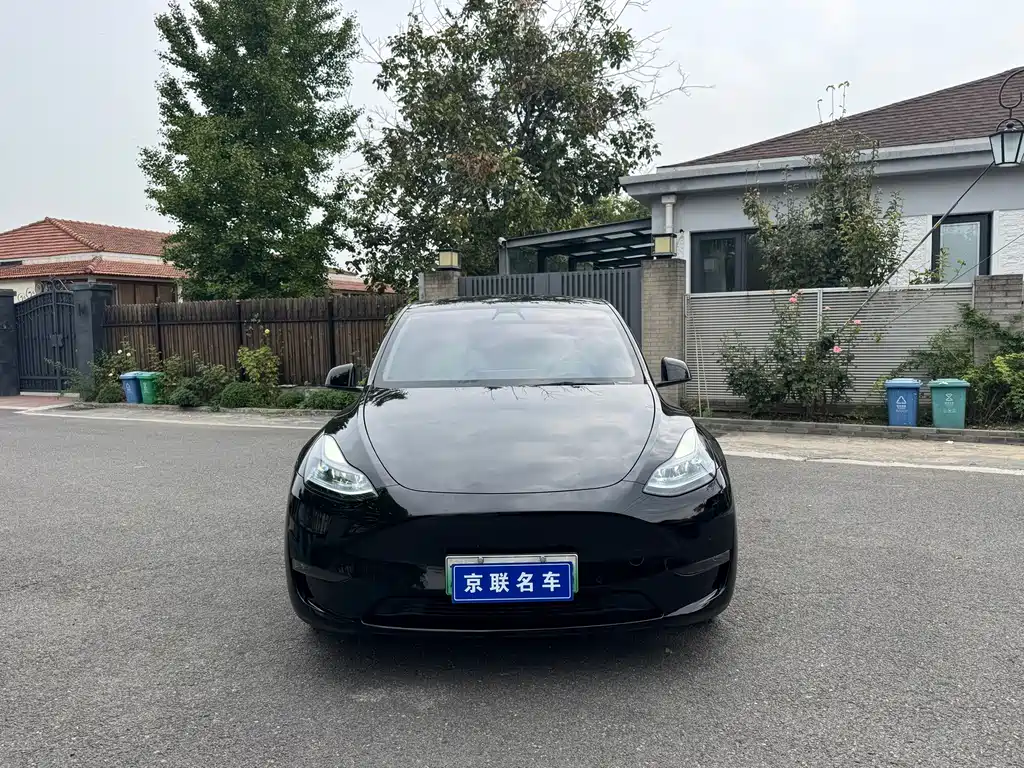 Tesla Model Y — миниатюра 2