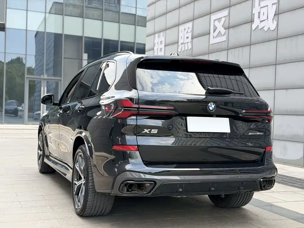 BMW X5 — миниатюра 19